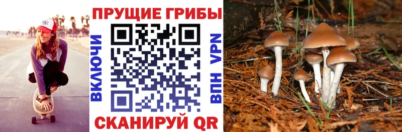 Псилоцибиновые грибы мухоморы  где купить наркотик  darknet какой сайт  Озёры 